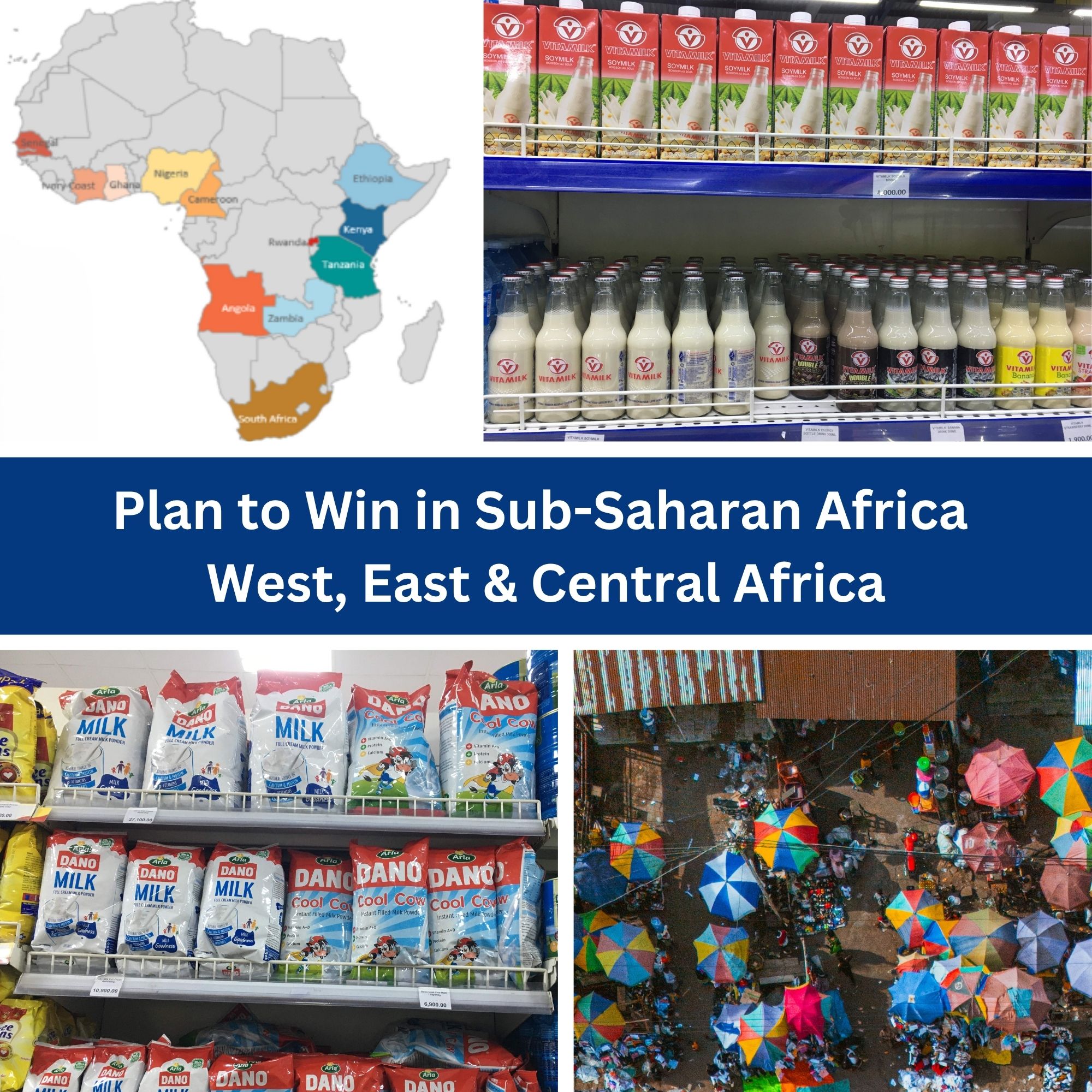 Plan to Win in Sub-Saharan Africa (West, East & Central Africa)